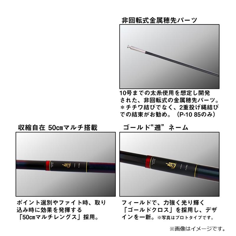 DAIWA（ダイワ） 遡 P-10 85 / 渓流 本流 竿【大型2】 : 釣具のFTO