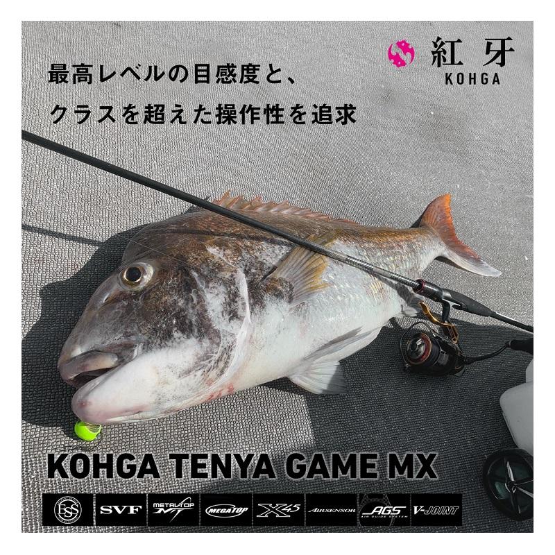 DAIWA（ダイワ） 紅牙テンヤゲームMX H-230MT・J / 船 ひとつテンヤ 竿 