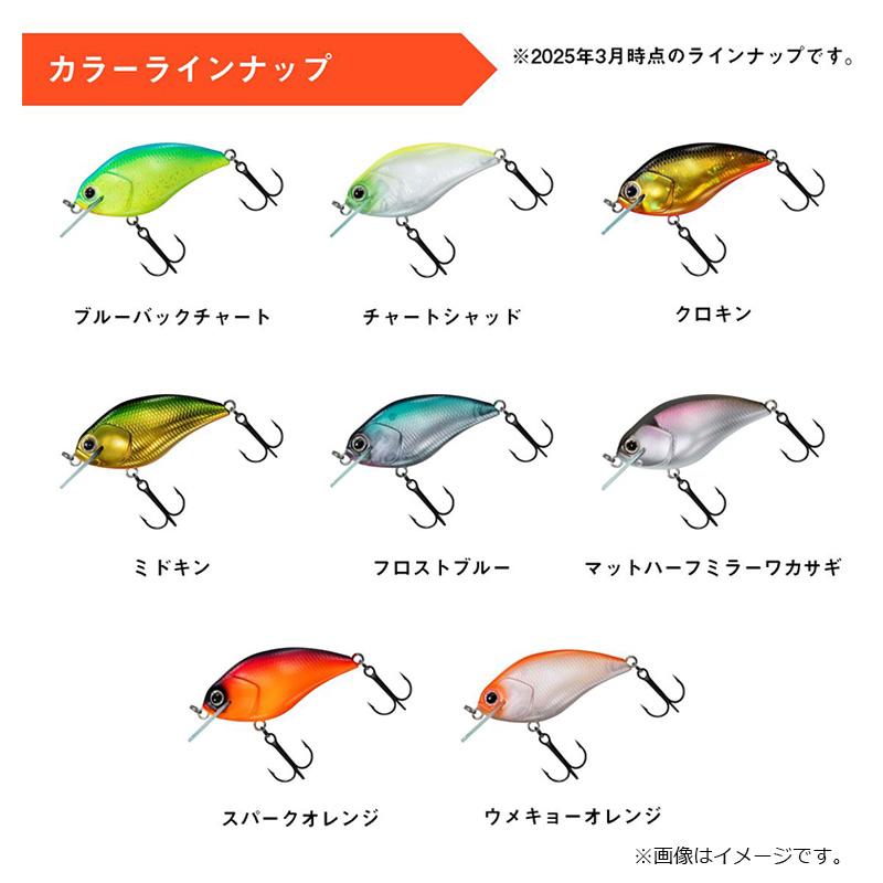 DAIWA（ダイワ） スティーズスクエア 100 クロキン : 釣具のFTO - 通販