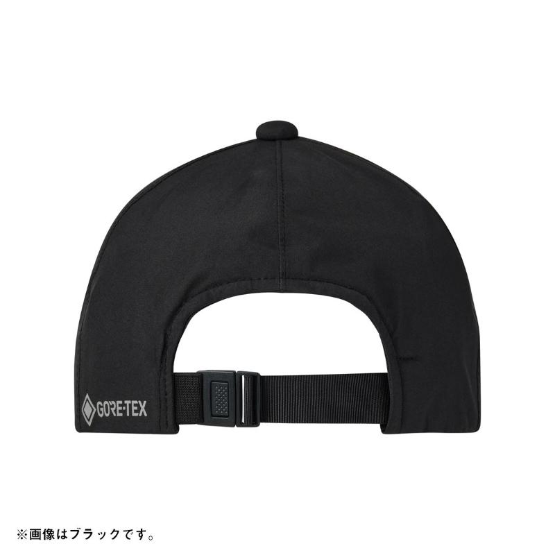 DAIWA（ダイワ） DC-1025 GORE-TEXキャップ ブラック フリー【釣り