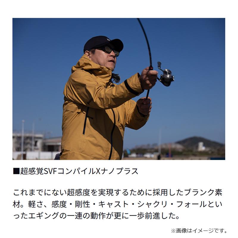 DAIWA（ダイワ） エメラルダス ストイスト RT IL 91M / インターライン