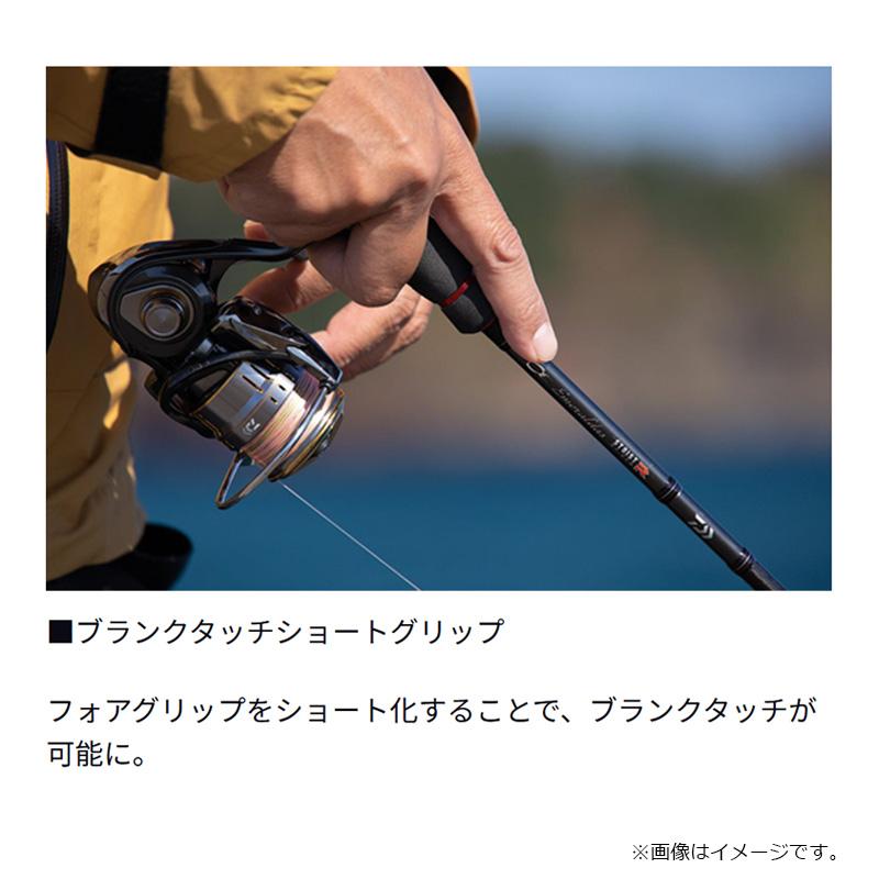 DAIWA（ダイワ） エメラルダス ストイスト RT IL 91M / インターライン