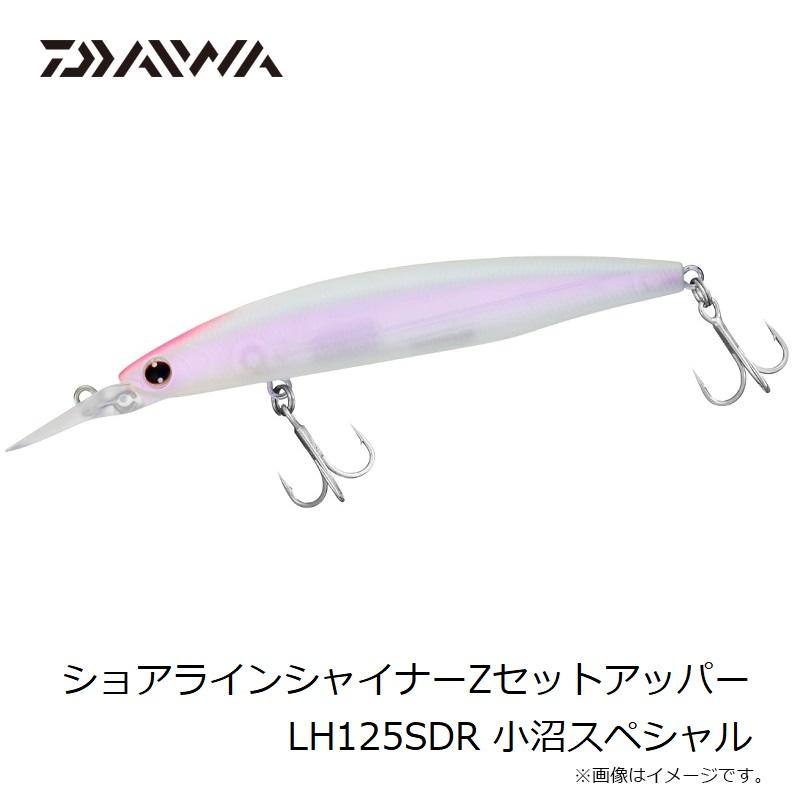 セットアッパー他　ケース付き DAIWA（ダイワ） ショアラインシャイナーZセットアッパー LH125SDR