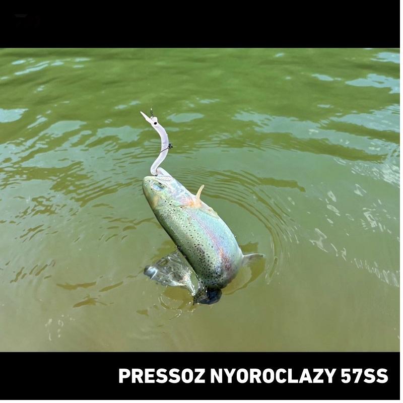 DAIWA（ダイワ） プレッソ ニョロクレイジー 57SS トリプルRG : 釣具の