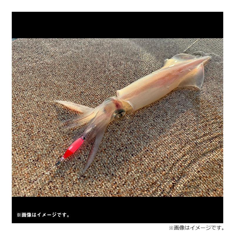 DAIWA（ダイワ） エメラルダスドロッパーソフト 70 夜光/赤緑 : 釣具の