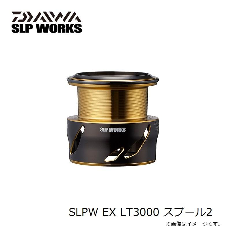 ダイワ　SLPW EX LT3000 スプール2_4