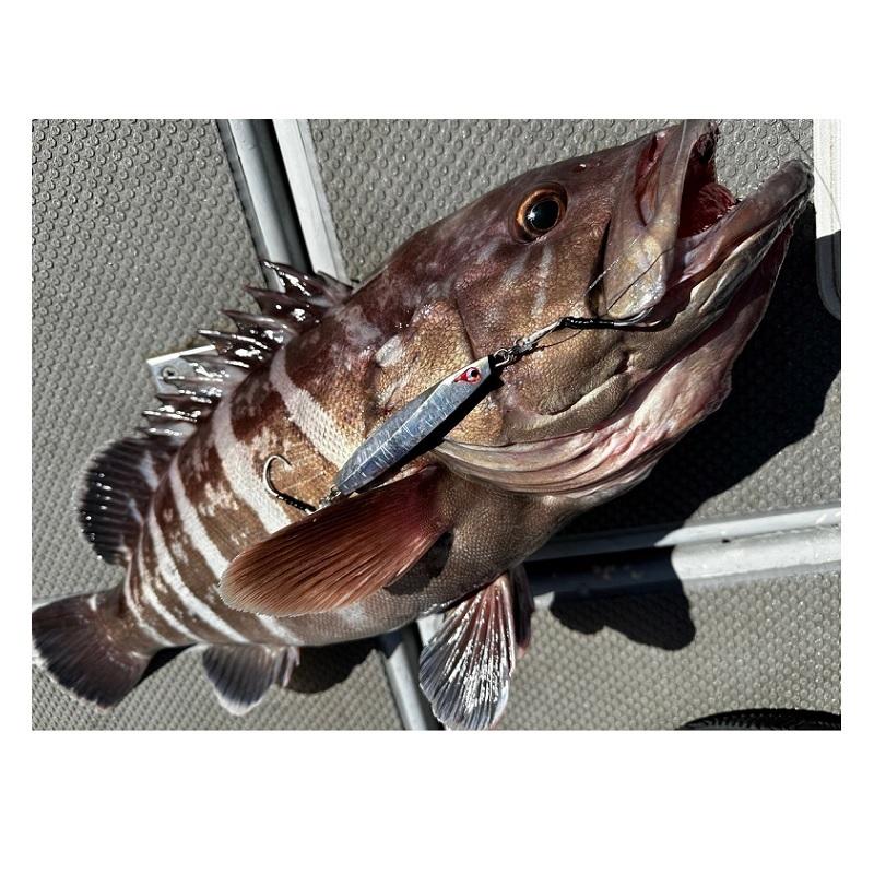 ボーズレス TGイエヤス 60g 桜グロー : 釣具のFTO - 通販 - Yahoo