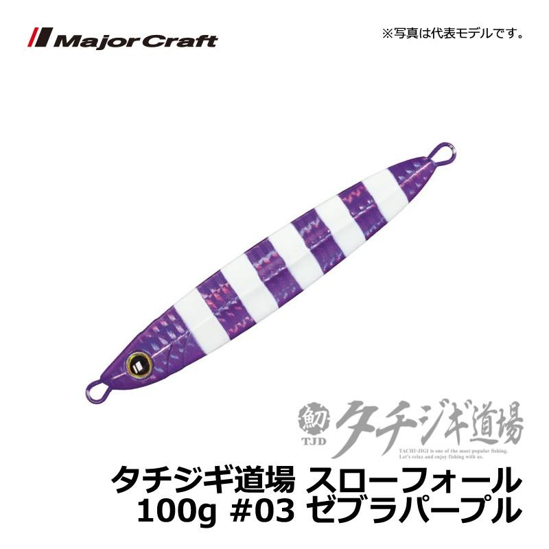 Major Craft（メジャークラフト） タチジギ道場 スローフォール 100g