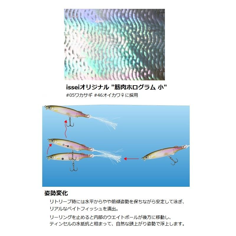 一誠 G.C.マジI字「ラレシ」60F #57 チャートオイカワ : 釣具の