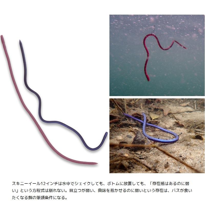 IMAKATSU（イマカツ） スキニーイールクローラー12インチ #S-524