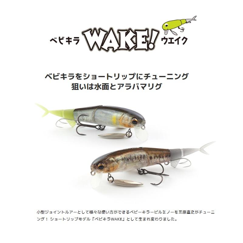 IMAKATSU（イマカツ） ベビキラWake 3DR #888 3DRイナッコ : 釣具のFTO
