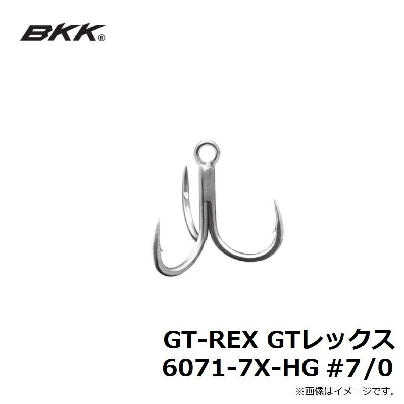 BKK　GT-REX GTレックス 6071-7X-HG #7/0｜yfto｜03