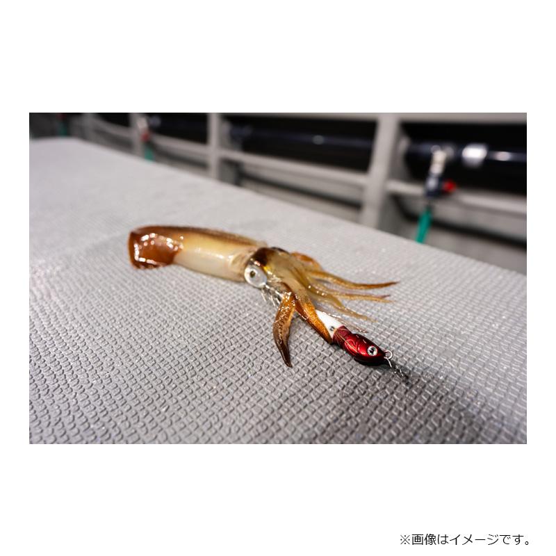 アニサキスッテ30号 楽天市場】アニサキス アニサキスッテ 30号 #01 赤