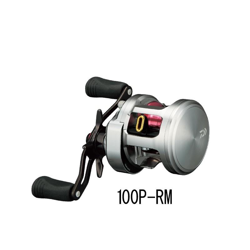 ダイワ(DAIWA) キャタリナ ベイジギング 100HL (ジギング専用リール