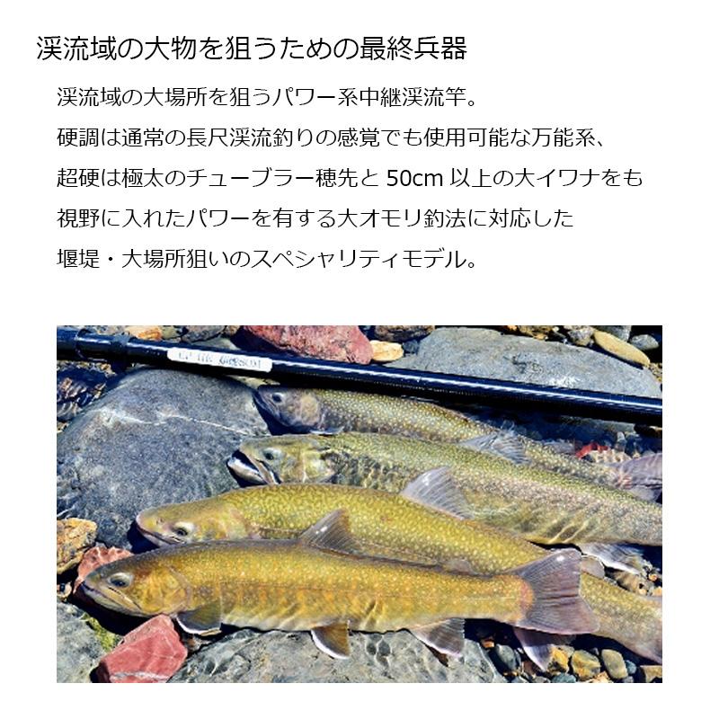 DAIWA（ダイワ） エキスパート 碧羅 中継 超硬80M 超硬80M : 釣具の