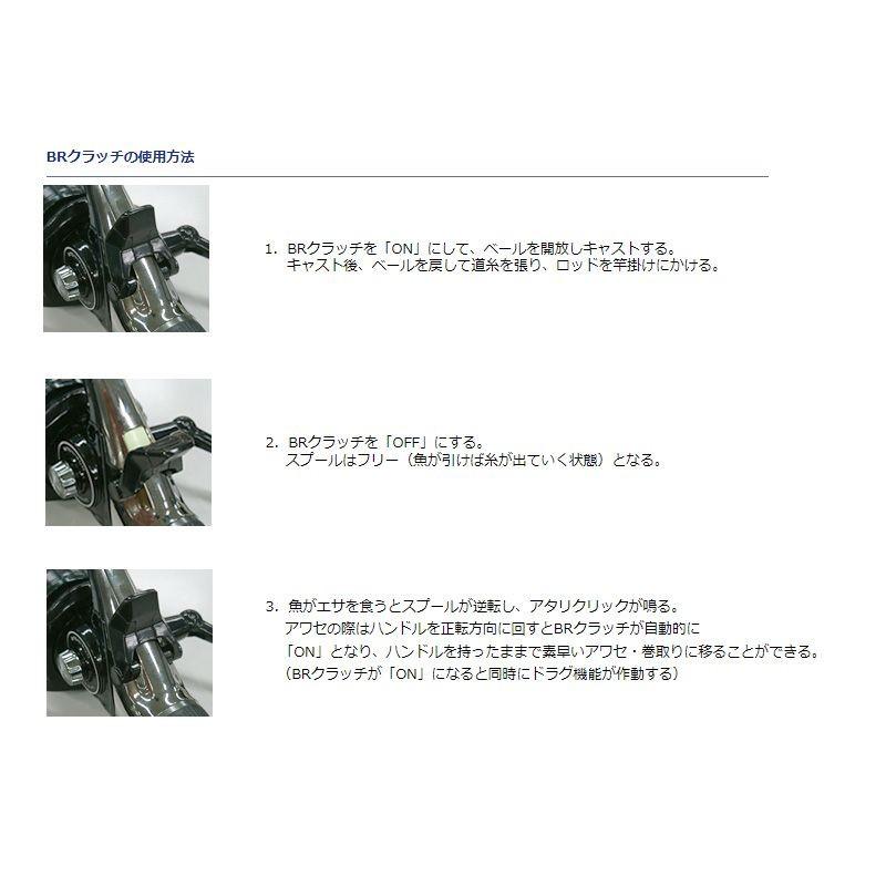 DAIWA（ダイワ） 18リーガルプラス 4500BR (鯉釣り スピニングリール