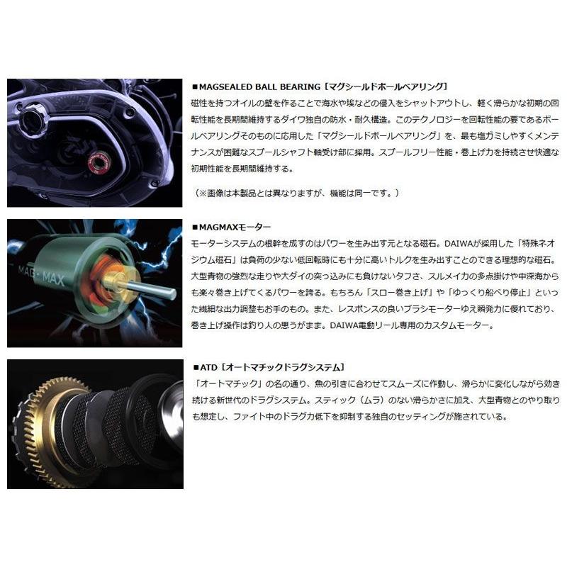DAIWA（ダイワ） 18 シーボーグ 300J-L(左ハンドル) / 電動リール