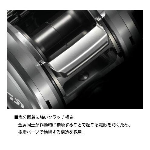 ダイワ(DAIWA) キャタリナ(Catalina) ベイジギング 100PL-RM (ジギング