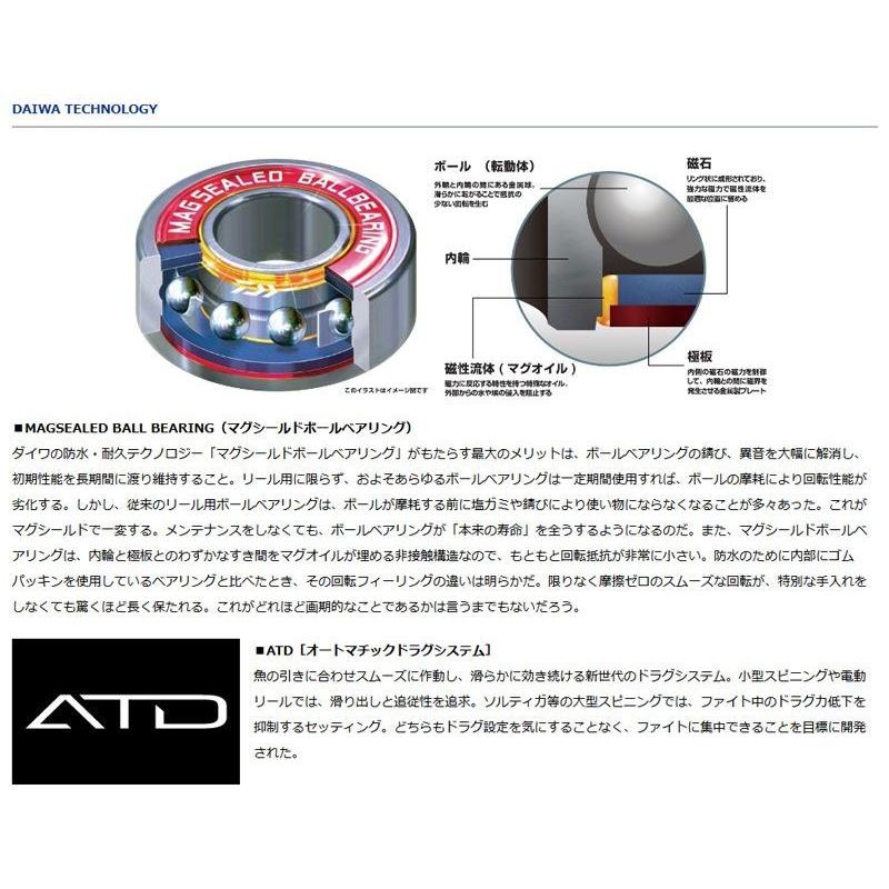 DAIWA（ダイワ） モアザン PE 1000XHL-TW / ベイトリール シーバス