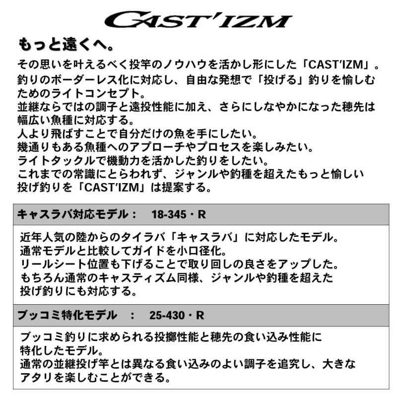 DAIWA（釣り） ダイワ キャスティズム 30号-385 R / 投竿 並継ぎ 