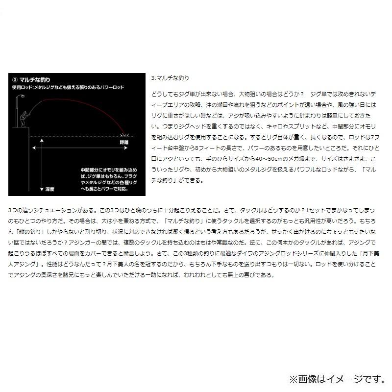 DAIWA（ダイワ） 月下美人 AJING 80ML-T・R / アジング ロッド ライト