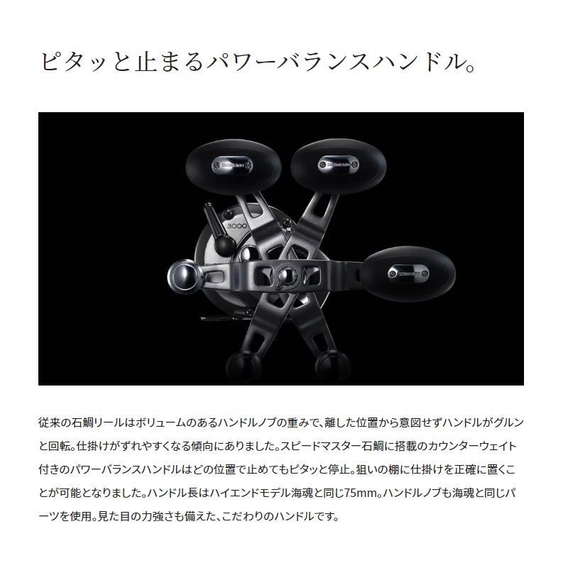 シマノ（SHIMANO） 23スピードマスター石鯛 3000T 爆買 : 釣具のFTO