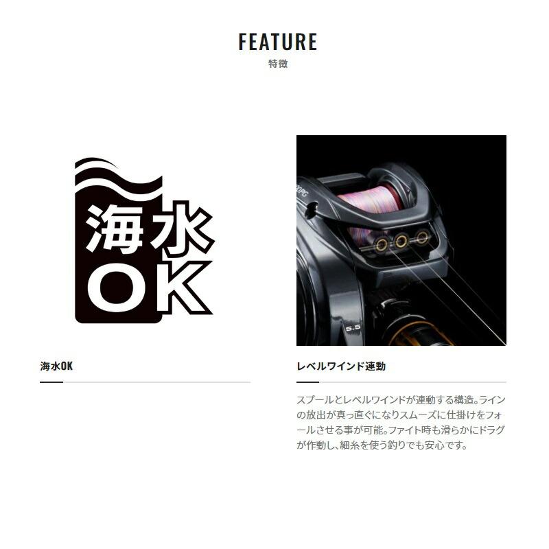 シマノ（SHIMANO） 22エンゲツBB 101PG / ベイトリール タイラバ