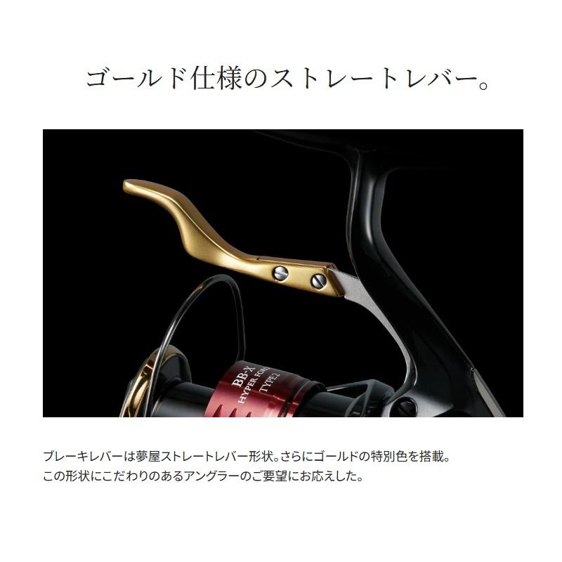 シマノ（SHIMANO） 25 BB-X ハイパーフォース C3000DXGS L / 磯 レバー