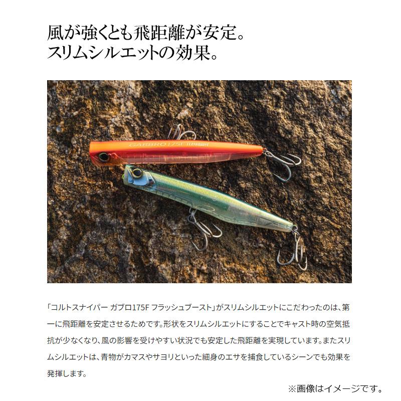 シマノ（SHIMANO） XX-P17W ガブロ 175F フラッシュブースト 003 ST