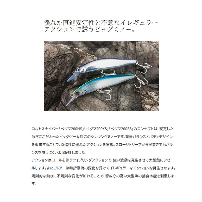 シマノ（SHIMANO） XW-220Z ペグマ200SS ジェットブースト 200SS 006