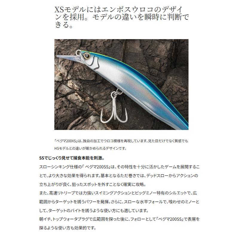 シマノ（SHIMANO） XW-220Z ペグマ200SS ジェットブースト 200SS 006