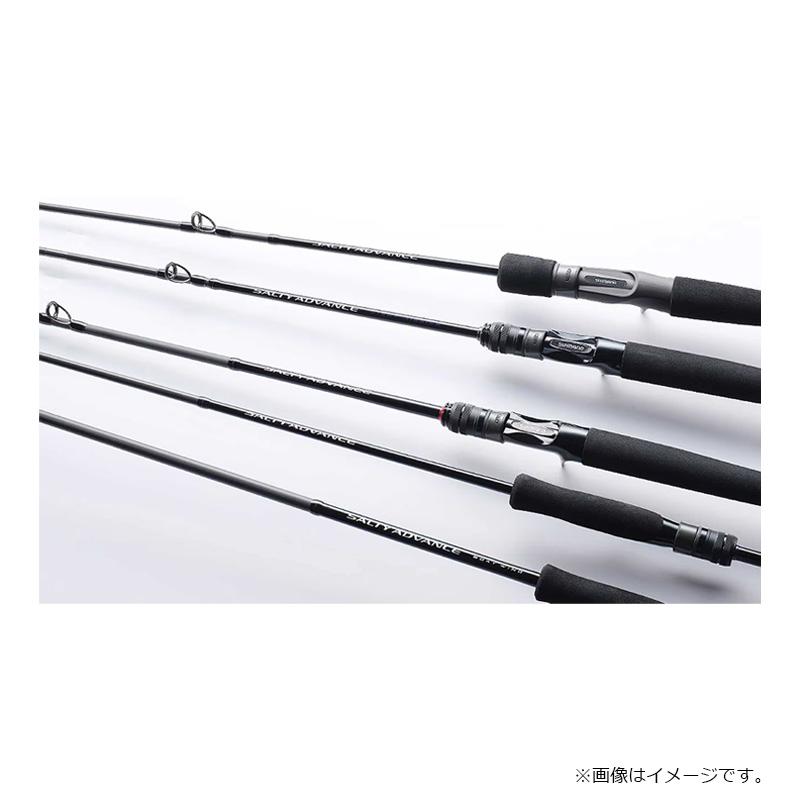 シマノ（SHIMANO） 25ソルティーアドバンス オフショアモデル