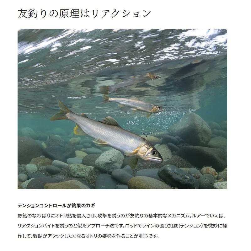 シマノ（SHIMANO） 23ナイアード 急瀬85-90Z【大型2】 : 釣具のFTO