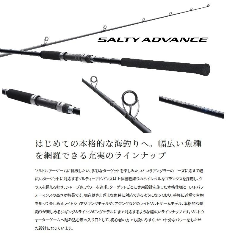 シマノ（SHIMANO） 19ソルティーアドバンス チニング S76M / チニング