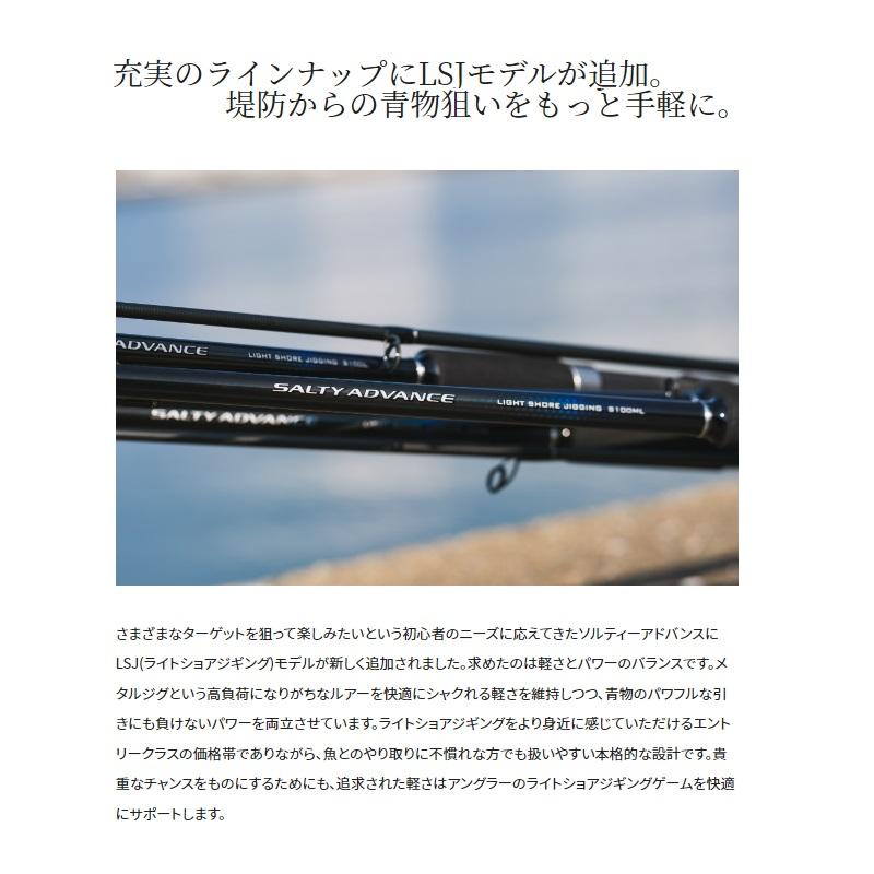 シマノ（SHIMANO） 19ソルティーアドバンス チニング S76M / チニング