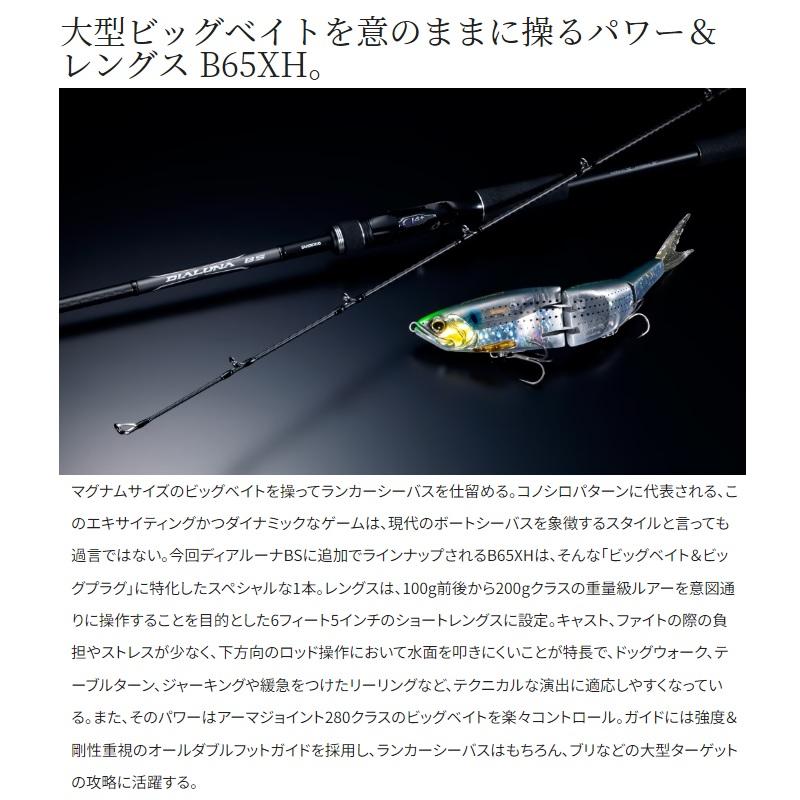 シマノ（SHIMANO） 21 ディアルーナ BS B65XH / シーバス ボート