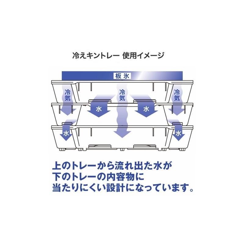 シマノ　冷えキントレー SSS / イカ釣り クーラー｜yfto｜10