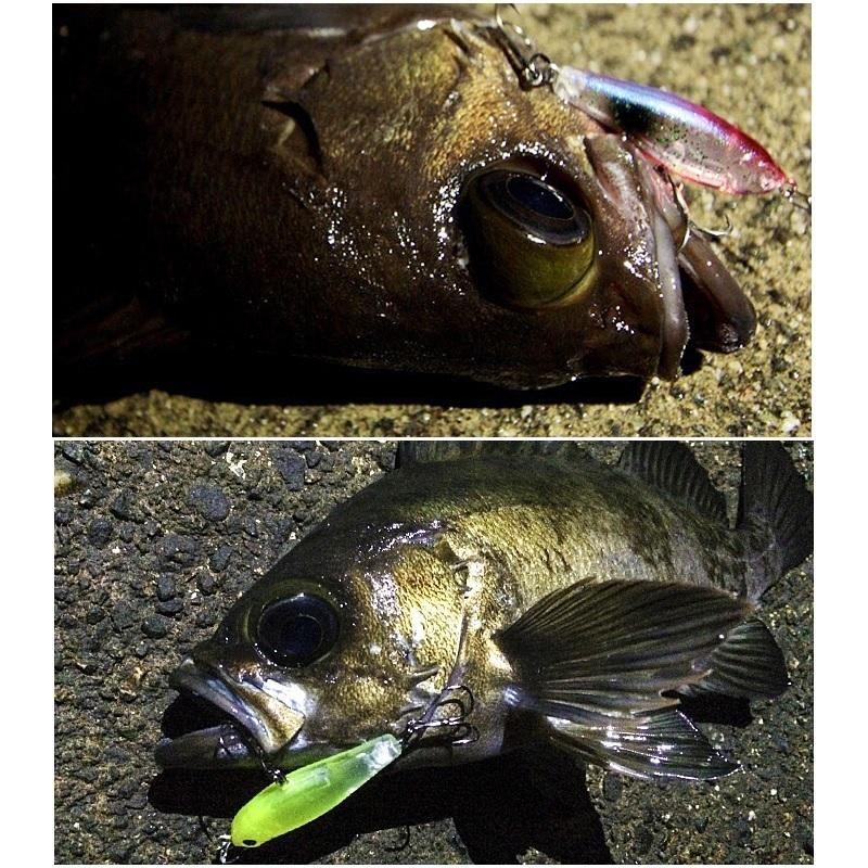 ティクト フロッパー38 01 クリアインナーホロ : 釣具のFTO - 通販