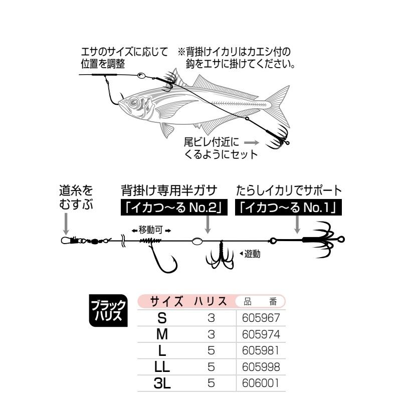 カツイチ　IS-21 イカ一番 ベーシックスタイル S｜yfto｜02