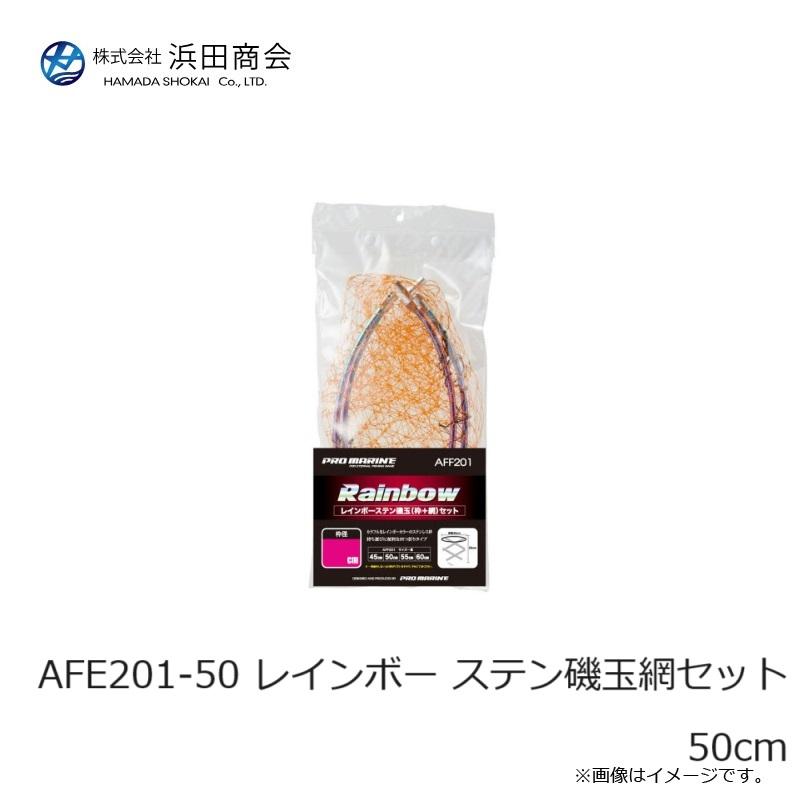 浜田商会 AFE201-50 レインボー ステン磯玉網セット 50cm : 釣具のFTO