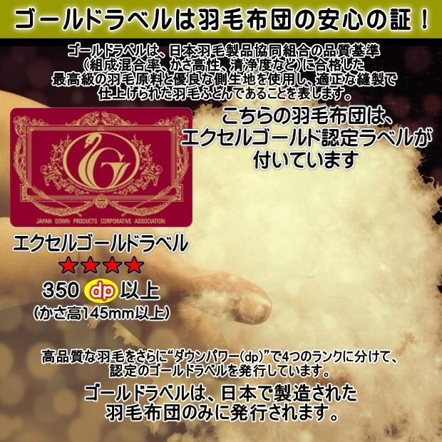 羽毛布団 ダブル 掛け布団 日本製 フランス産ホワイトダウン90％（1.9 
