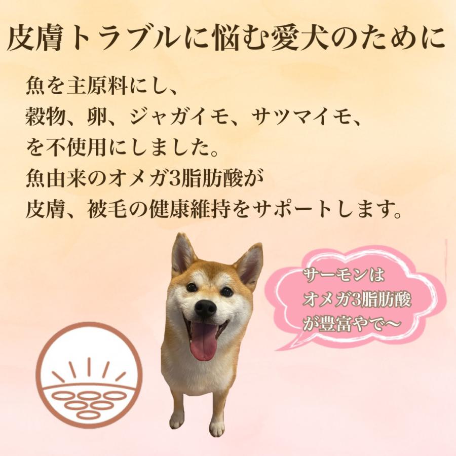 【OK004】ワンクル　サーモン　成犬用　12kg 