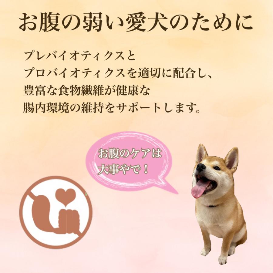 【OK004】ワンクル　サーモン　成犬用　12kg 