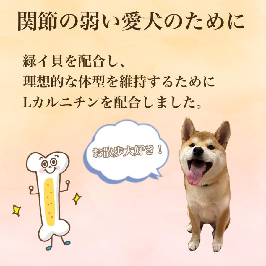 【OK004】ワンクル　サーモン　成犬用　12kg 