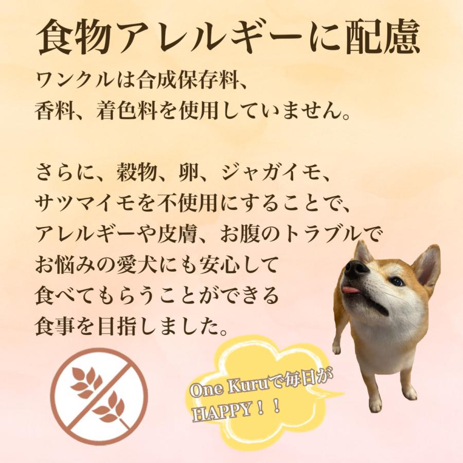 【OK004】ワンクル　サーモン　成犬用　12kg 