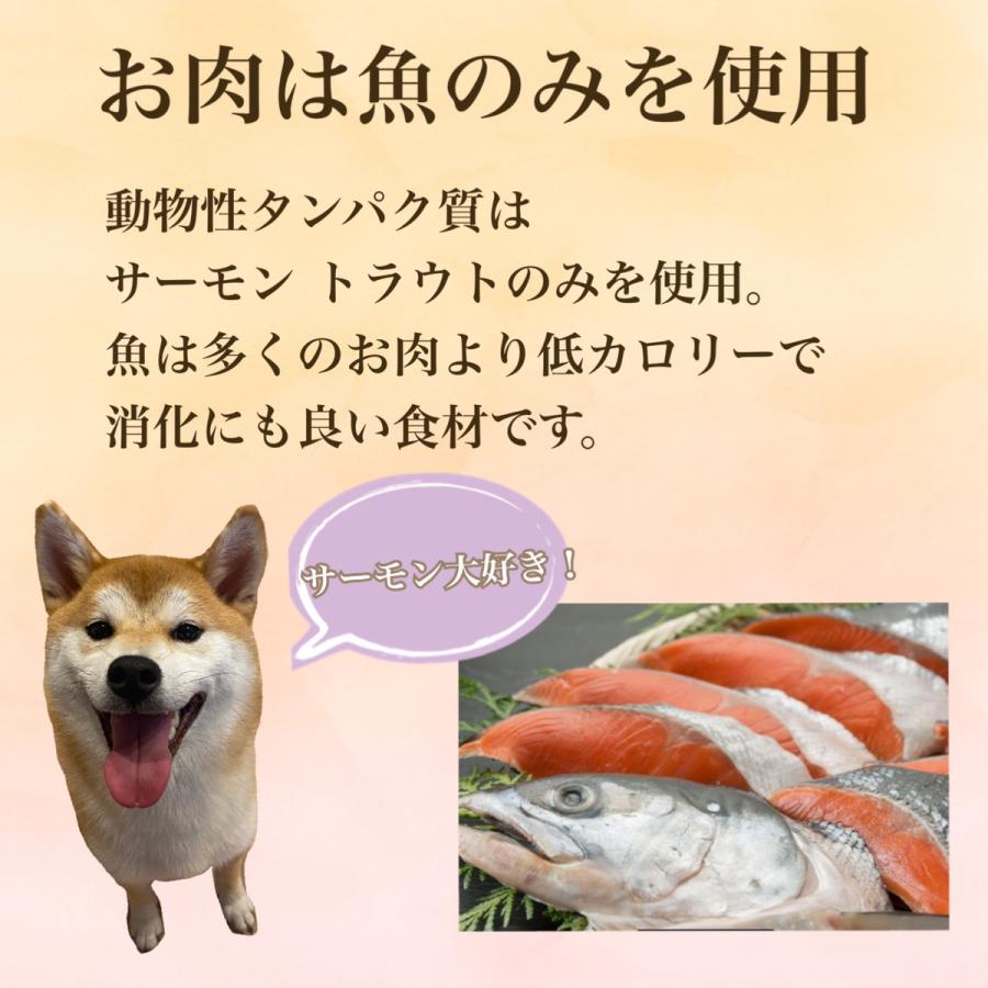 【OK004】ワンクル　サーモン　成犬用　12kg 