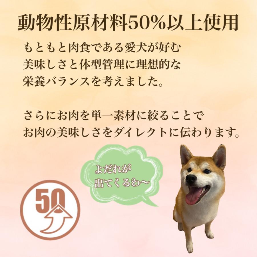 【OK004】ワンクル　サーモン　成犬用　12kg 