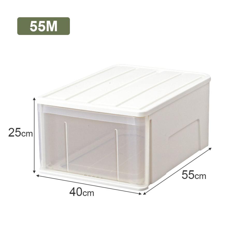 天馬 収納ケース たっぷり収納ケース 幅40×奥行55×高さ25cm ホワイト