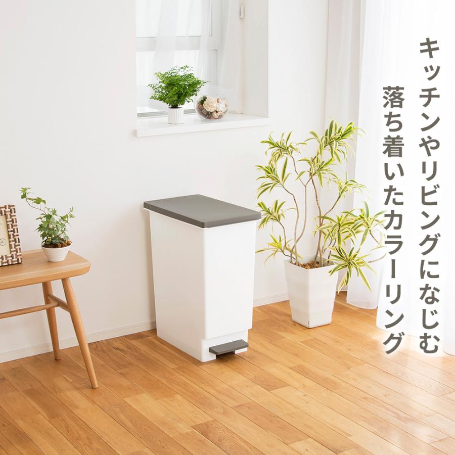 TONBO（新輝合成） ゴミ箱 日本製 分別 スリムペダル ネオカラー 20L