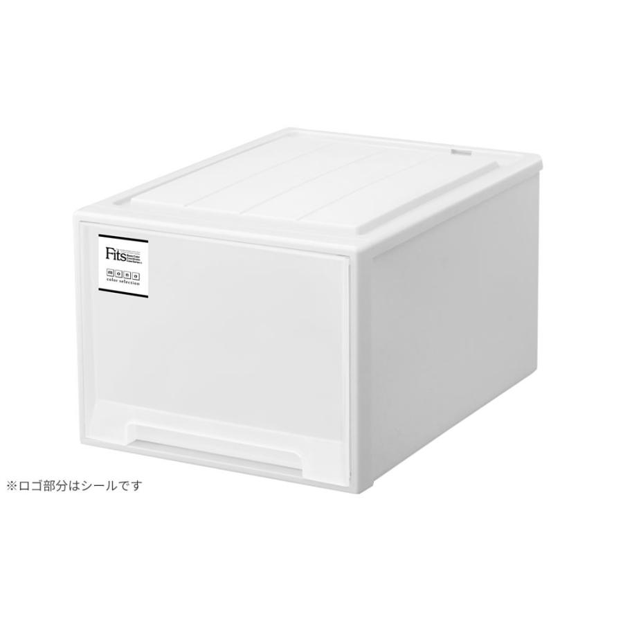 Fits 収納ケース フィッツケースクローゼット L-53 幅39×奥行53×高さ